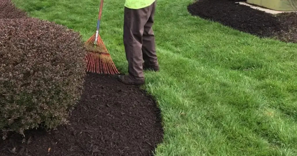 Mulch Installation project 6