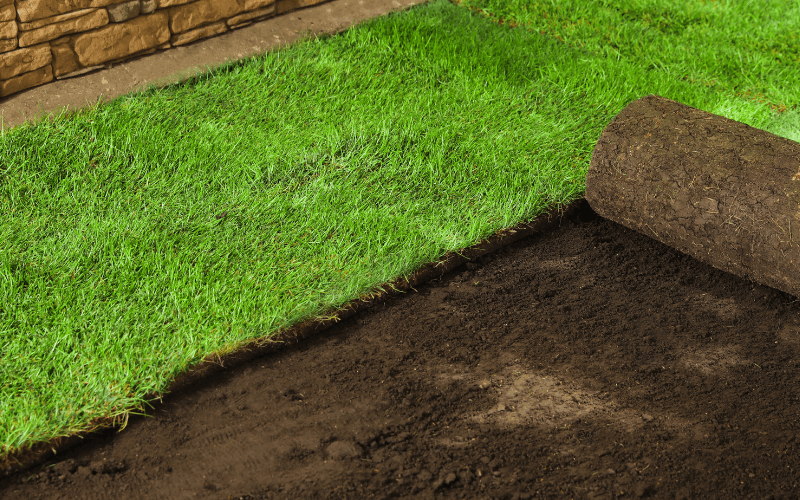 Sod Installation Services in Simsbury, CT